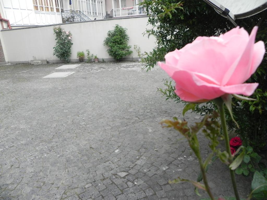 Old Yard Guest House ティビリシ エクステリア 写真